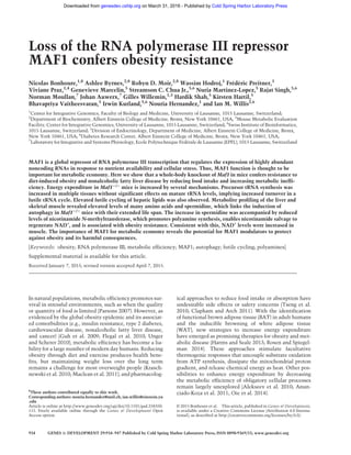 Loss of the RNA polymerase III repressor
MAF1 confers obesity resistance
Nicolas Bonhoure,1,8
Ashlee Byrnes,2,8
Robyn D. Moir,2,8
Wassim Hodroj,1
Frédéric Preitner,3
Viviane Praz,1,4
Genevieve Marcelin,5
Streamson C. Chua Jr.,5,6
Nuria Martinez-Lopez,5
Rajat Singh,5,6
Norman Moullan,7
Johan Auwerx,7
Gilles Willemin,1,3
Hardik Shah,5
Kirsten Hartil,5
Bhavapriya Vaitheesvaran,5
Irwin Kurland,5,6
Nouria Hernandez,1
and Ian M. Willis2,6
1
Center for Integrative Genomics, Faculty of Biology and Medicine, University of Lausanne, 1015 Lausanne, Switzerland;
2
Department of Biochemistry, Albert Einstein College of Medicine, Bronx, New York 10461, USA; 3
Mouse Metabolic Evaluation
Facility, Center for Integrative Genomics, University of Lausanne, 1015 Lausanne, Switzerland; 4
Swiss Institute of Bioinformatics,
1015 Lausanne, Switzerland; 5
Division of Endocrinology, Department of Medicine, Albert Einstein College of Medicine, Bronx,
New York 10461, USA; 6
Diabetes Research Center, Albert Einstein College of Medicine, Bronx, New York 10461, USA;
7
Laboratory for Integrative and Systems Physiology, Ecole Polytechnique Fédérale de Lausanne (EPFL), 1015 Lausanne, Switzerland
MAF1 is a global repressor of RNA polymerase III transcription that regulates the expression of highly abundant
noncoding RNAs in response to nutrient availability and cellular stress. Thus, MAF1 function is thought to be
important for metabolic economy. Here we show that a whole-body knockout of Maf1 in mice confers resistance to
diet-induced obesity and nonalcoholic fatty liver disease by reducing food intake and increasing metabolic ineffi-
ciency. Energy expenditure in Maf1−/−
mice is increased by several mechanisms. Precursor tRNA synthesis was
increased in multiple tissues without significant effects on mature tRNA levels, implying increased turnover in a
futile tRNA cycle. Elevated futile cycling of hepatic lipids was also observed. Metabolite profiling of the liver and
skeletal muscle revealed elevated levels of many amino acids and spermidine, which links the induction of
autophagy in Maf1−/−
mice with their extended life span. The increase in spermidine was accompanied by reduced
levels of nicotinamide N-methyltransferase, which promotes polyamine synthesis, enables nicotinamide salvage to
regenerate NAD+
, and is associated with obesity resistance. Consistent with this, NAD+
levels were increased in
muscle. The importance of MAF1 for metabolic economy reveals the potential for MAF1 modulators to protect
against obesity and its harmful consequences.
[Keywords: obesity; RNA polymerase III; metabolic efficiency; MAF1; autophagy; futile cycling; polyamines]
Supplemental material is available for this article.
Received January 7, 2015; revised version accepted April 7, 2015.
In natural populations, metabolic efficiency promotes sur-
vival in stressful environments, such as when the quality
or quantity of food is limited (Parsons 2007). However, as
evidenced by the global obesity epidemic and its associat-
ed comorbidities (e.g., insulin resistance, type 2 diabetes,
cardiovascular disease, nonalcoholic fatty liver disease,
and cancer) (Guh et al. 2009; Flegal et al. 2010; Unger
and Scherer 2010), metabolic efficiency has become a lia-
bility for a large number of modern day humans. Reducing
obesity through diet and exercise produces health bene-
fits, but maintaining weight loss over the long term
remains a challenge for most overweight people (Krasch-
newski et al. 2010; Maclean et al. 2011), and pharmacolog-
ical approaches to reduce food intake or absorption have
undesirable side effects or safety concerns (Tseng et al.
2010; Clapham and Arch 2011). With the identification
of functional brown adipose tissue (BAT) in adult humans
and the inducible browning of white adipose tissue
(WAT), new strategies to increase energy expenditure
have emerged as promising therapies for obesity and met-
abolic disease (Harms and Seale 2013; Rosen and Spiegel-
man 2014). These approaches stimulate facultative
thermogenic responses that uncouple substrate oxidation
from ATP synthesis, dissipate the mitochondrial proton
gradient, and release chemical energy as heat. Other pos-
sibilities to enhance energy expenditure by decreasing
the metabolic efficiency of obligatory cellular processes
remain largely unexplored (Alekseev et al. 2010; Anun-
ciado-Koza et al. 2011; Oie et al. 2014).
8
These authors contributed equally to this work.
Corresponding authors: nouria.hernandez@unil.ch, ian.willis@einstein.yu
.edu
Article is online at http://www.genesdev.org/cgi/doi/10.1101/gad.258350.
115. Freely available online through the Genes & Development Open
Access option.
© 2015 Bonhoure et al. This article, published in Genes & Development,
is available under a Creative Commons License (Attribution 4.0 Interna-
tional), as described at http://creativecommons.org/licenses/by/4.0/.
934 GENES & DEVELOPMENT 29:934–947 Published by Cold Spring Harbor Laboratory Press; ISSN 0890-9369/15; www.genesdev.org
Cold Spring Harbor Laboratory Presson March 31, 2016 - Published bygenesdev.cshlp.orgDownloaded from
 