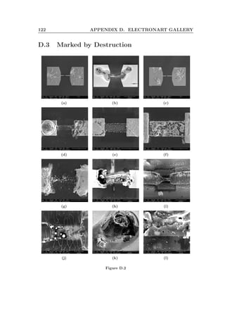 122 APPENDIX D. ELECTRONART GALLERY
D.3 Marked by Destruction
(a) (b) (c)
(d) (e) (f)
(g) (h) (i)
(j) (k) (l)
Figure D.2
 
