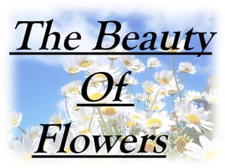 The Beauty
Of
Flowers
 
