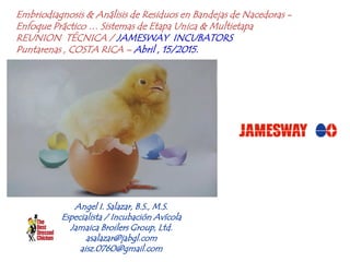 Embriodiagnosis & Análisis de Residuos en Bandejas de Nacedoras -
Enfoque Práctico … Sistemas de Etapa Unica & Multietapa
REUNION TÉCNICA / JAMESWAY INCUBATORS
Puntarenas , COSTA RICA – Abril , 15/2015.
Angel I. Salazar, B.S., M.S.
Especialista / Incubación Avícola
Jamaica Broilers Group, Ltd.
asalazar@jabgl.com
aisz.0760@gmail.com
 