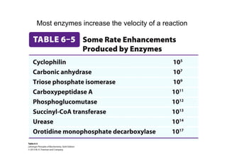 Comprehensive Overview of Enzyme Kinetics and Regulation in ...