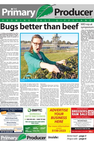 EDITION 574
Betterbeef–page3
Angussale–page6Inside:
Supplement to the Bairnsdale Advertiser & Snowy River Mail,week commencing , August 22, 2016.
" # ! '
!! & !!
$ # #
! " % !
!!
Call Steve Morris today on
0418 658 839
STOCKFEED MANUFACTUERS
-- SSiinnccee 11995533 --
Dairy Pellets
Guaranteed specifications,consistent quality,
Inclusive of trace minerals
Beef & Sheep Feeds
Beef feedlot & supplementary rations,
Ewe & Lamb + Lamb Finisher rations
Wheat & Barley
Fixed price contracts or spot pricing,
ASW wheat & F1 barley
Bulk bags of selected feeds available ex Stratford
Talk to
us about M500070
ADVERTISE
YOUR
BUSINESS
HERE
For more information
contact
5150 2323
M11094
Chair of the Macalister
Customer Consultative
Committee (MCCC) will
be among those to at-
tend a Victorian dairy
symposium to find solu-
tions to the challenges
facing the Australian
dairy industry.
Member for Gippsland
Darren Chester nominated
MCCC chair and Gipps-
Dairy board member, Iain
Stewart, who will repre-
sent the Macalister Irriga-
tion District (MID) region
at the symposium this
Thursday, August 25.
Mr Chester said it was im-
portant decision-makers
heard first-hand about the
issues affecting farmers
and what governments
can do to best support
them during this period.
“It’s vital that our region
has representation at this
symposium to work with
government and industry
to design long-term solu-
tions that will help our
dairy sector prosper into
the future,” he said.
The symposium has been
organised by Barnaby
Joyce, Minister for Agricul-
ture and Water Security. It
will bring senior industry
representatives, proces-
sors and retailers together
to discuss what more can
be done to ensure a
healthy and viable future
for dairy farmers and the
industry.
The aim of the sympo-
sium is to develop indus-
try-led solutions to im-
prove transparency of
milk price arrangements
and increase farm gate
profitability.
Mr Joyce and Prime Min-
ister Turnbull met with
Murray Goulburn’s board
and chief executive last
week, and will meet with
Fonterra management.
ACCC and ASIC investiga-
tions into the milk price
write downs are ongoing
and reports will be provid-
ed publicly soon.
MID rep at
symposiumBugs better than beef
A visiting entomologist has told a
Bairnsdale beef conference that eat-
ing insects will provide us with a
comparable source of protein as
meat.
Shasta Claire says insects are also an
excellent source of dietary fibre, min-
erals, vitamins, fats, amino acids and
protein.
“Insects in general have a nutritional
profile similar to fish,” she said.
“Low calories per hundred grams of
meat and much more positive fat to
protein balance than beef, so they’re
actually very helpful from a human
perspective.”
Shasta said insects are actually fattier
given they are 100 per cent edible
compared with a “40 per cent protein
mass in cows”.
Shasta said 10 large witchetty grubs
for example, can provide an adult’s
daily requirements of fat, protein and
calories.
More than two billion people, she
said, are already eating insects in third
world countries.
“I think the reason these people have
traditionally eaten these foods (in-
sects) is because its cheap and people
were poor.
“However, in places like South East
Asia,where the middle class is expand-
ing, the demand for insect food is in-
creasing with that expanding middle
class, because they’re still preferenc-
ing insect food,” Shasta said.
Addressing farmers, the entomolo-
gist said even more appealing was
that insects had a much smaller car-
bon footprint than traditional live-
stock.
“Agriculture currently accounts for
18 per cent of greenhouse gasses, this
is greater than the automotive and
transport industries,” Shasta said.
Insects can be reared “in what would
be appalling conditions for mammals
and they’ll go along just fine.
“You don’t have to treat them with as
many antibiotics because they’re not
capable of being stressed, like cows
are,” Shasta claims.
“Insects are less susceptible to those
stressors and we’re (humans) also less
likely to contract diseases that can af-
fect insects.
DUNG BEETLES IMPROVE FARMS
While some of those in the audience
at the Bairnsdale racecourse on Tues-
day looked a little squeamish about
the thought of eating insects, they
were quicker to embrace Shasta’s ar-
guments for how dung beetles could
improve farms.
She said dung beetles are able to in-
habit and bury a dung pat within 24
hours.
“They’re efficient, competitive and
they’ll even steal off one another.
“These natural habits of dung beetles
we can harness for our own benefits,
their tunnelling into your paddock can
reinvigorate the nutrient cycle.”
Shasta says it costs about $350 to
purchase 1000 dung beetles but the
benefits will last for a long time.
For example, she says, the ability of
dung beetles to aerate the soil and im-
prove drainage will aid a paddock for
many years.
Dung beetles, Shasta says, “can bene-
fit landscapes that don’t even have
cows.”
“You’ll obviously need cow pats to at-
tract them, but then you can grow
crops onto those cow pastures and
you have improved cropping from the
dung beetles and even if you move
your cows on, the benefits in the soil,
such as drainage, re-penetration, seed
plant growth, lasts for two to three
years after the cows have gone.
“So I can also see an opportunity for
cow rotational farming. The way the
crops are rotated to benefit the nutri-
ents in the soil of then having cows
grazing from one season, attracting
the dung beetles and having this ef-
fectively free service of then drawing
that carbon, that nitrogen and that
phosphorus back down into the soil,
breaking up that soil surface and work-
ing that into a crop rotation.
Shasta says by 2050, our population
will have exploded and it’s important
to look for more diverse methods of
farming.
“There will be new poverties that our
growing society starts to experience,
and not just a poverty of money, but a
person living in an apartment in Syd-
ney, New York or Toyko for instance,
doesn’t have the space to raise a cow,
but most people have enough space
to raise crickets, which will live in a
plastic tub under your bed,” Shasta
said.
Entomologist, Shasta Claire, aka bug lady, spots an insect in the bushes at the Bairnsdale Racecourse on Tuesday.
K1165-0061
 