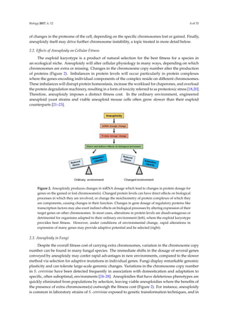 BIOLOGY errors in mitosis and meosis | PDF