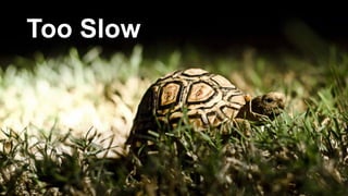 Too Slow
 
