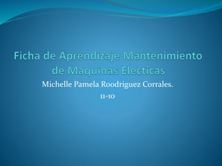 Michelle Pamela Ro0driguez Corrales.
11-10
 