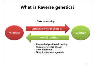 reverse genetics 기술 특허동향과 앞으로의 전략 | PDF