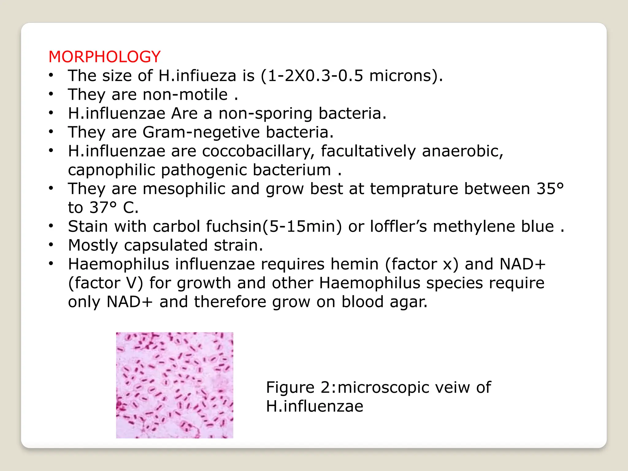 Haemophilus_influenza_A brief introduction and an overview. | PPTX