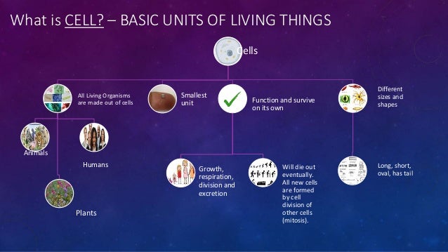 basic unit of life