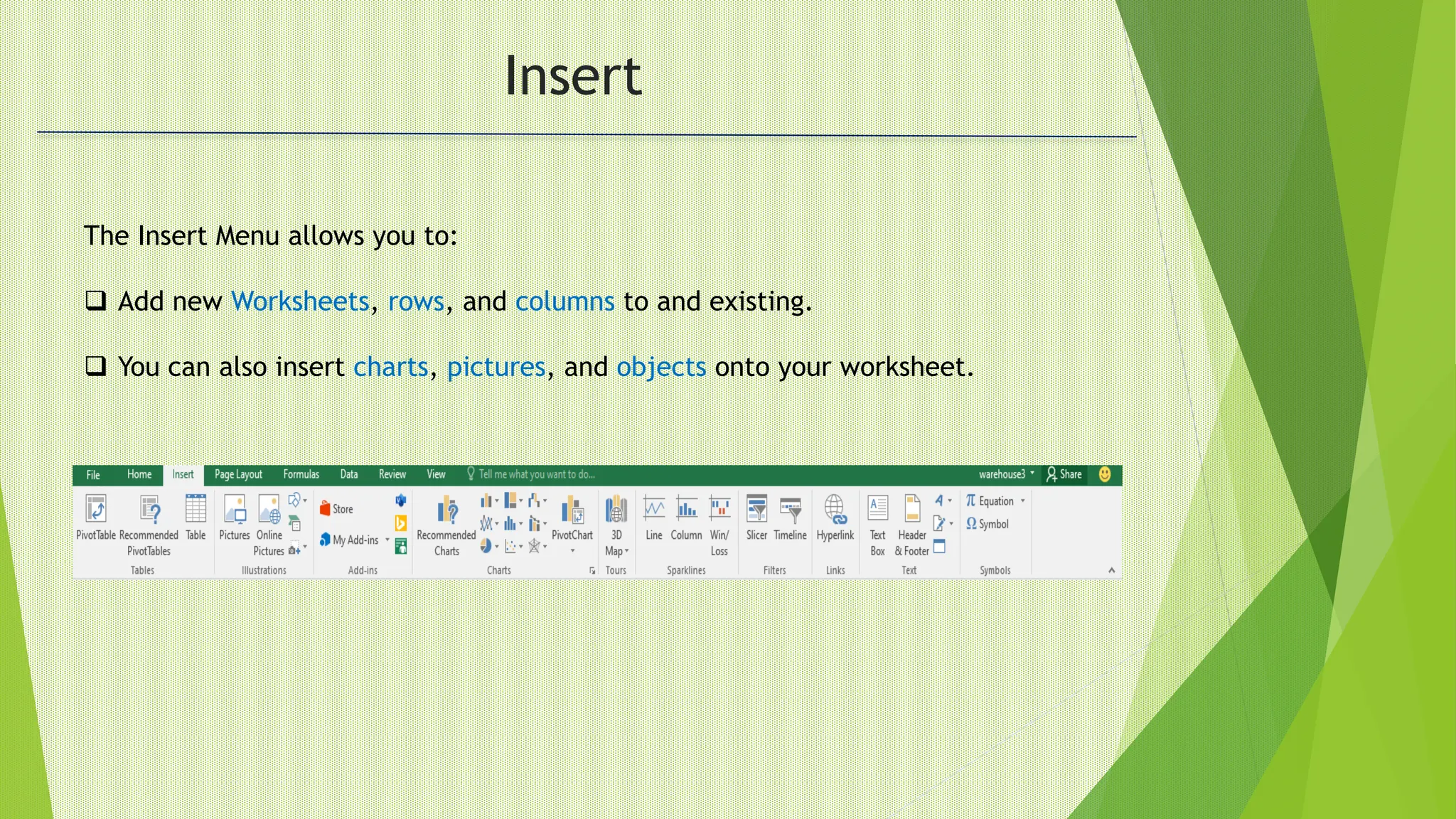 Insert
The Insert Menu allows you to:
 Add new Worksheets, rows, and columns to and existing.
 You can also insert charts, pictures, and objects onto your worksheet.
 