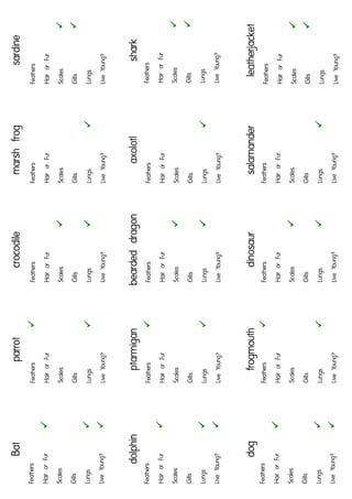 classification keys - animal cards | PDF