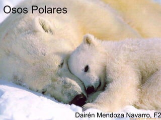 Osos Polares




               Dairén Mendoza Navarro, F2
 