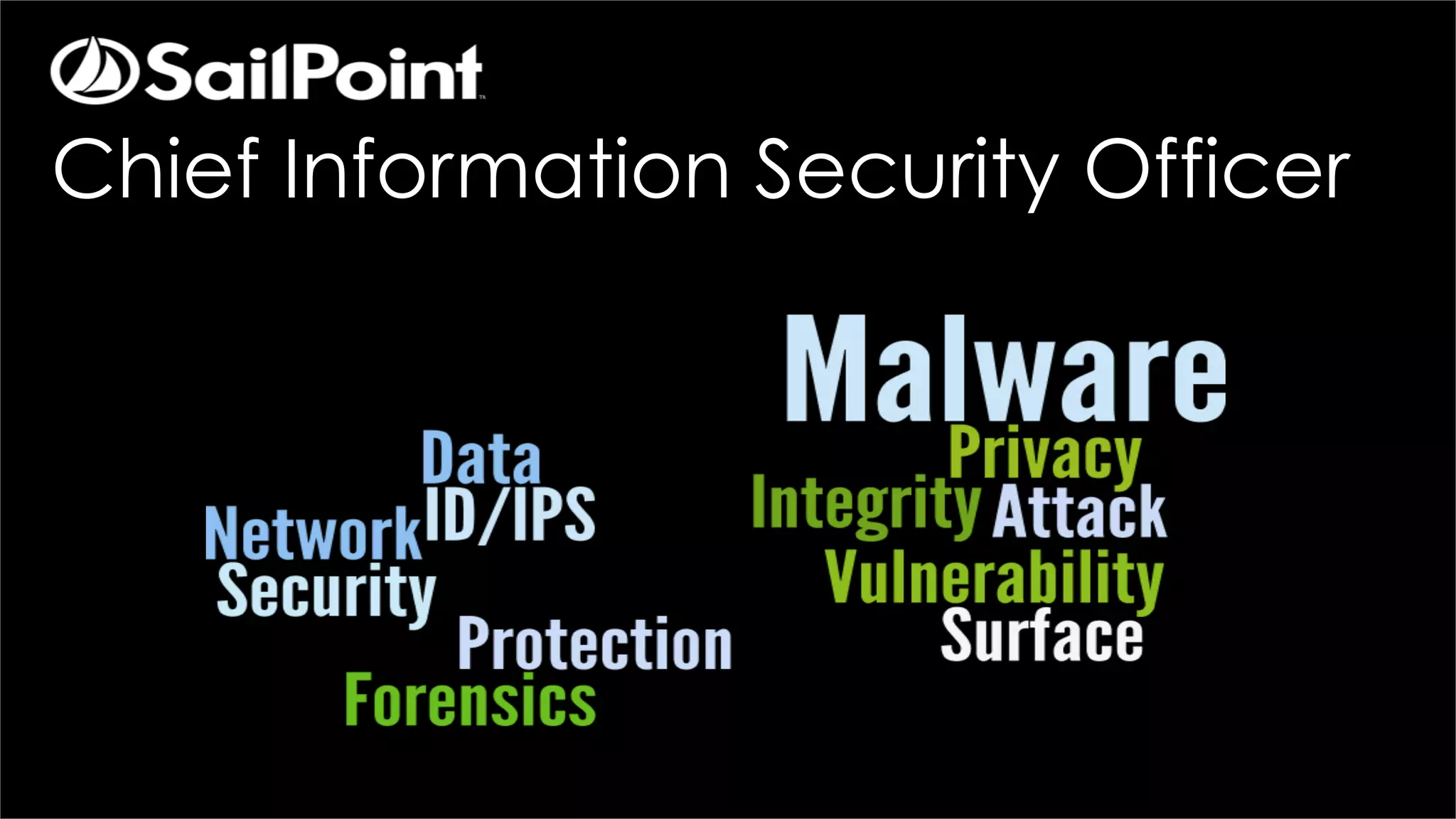 Chief Information Security Officer
 