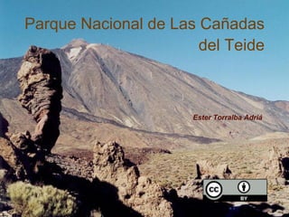 Parque Nacional de Las Cañadas
                       del Teide



                      Ester Torralba Adriá
 