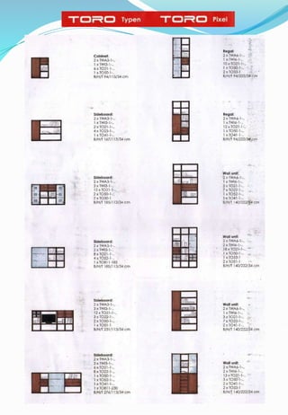 Presentation Toro PPT