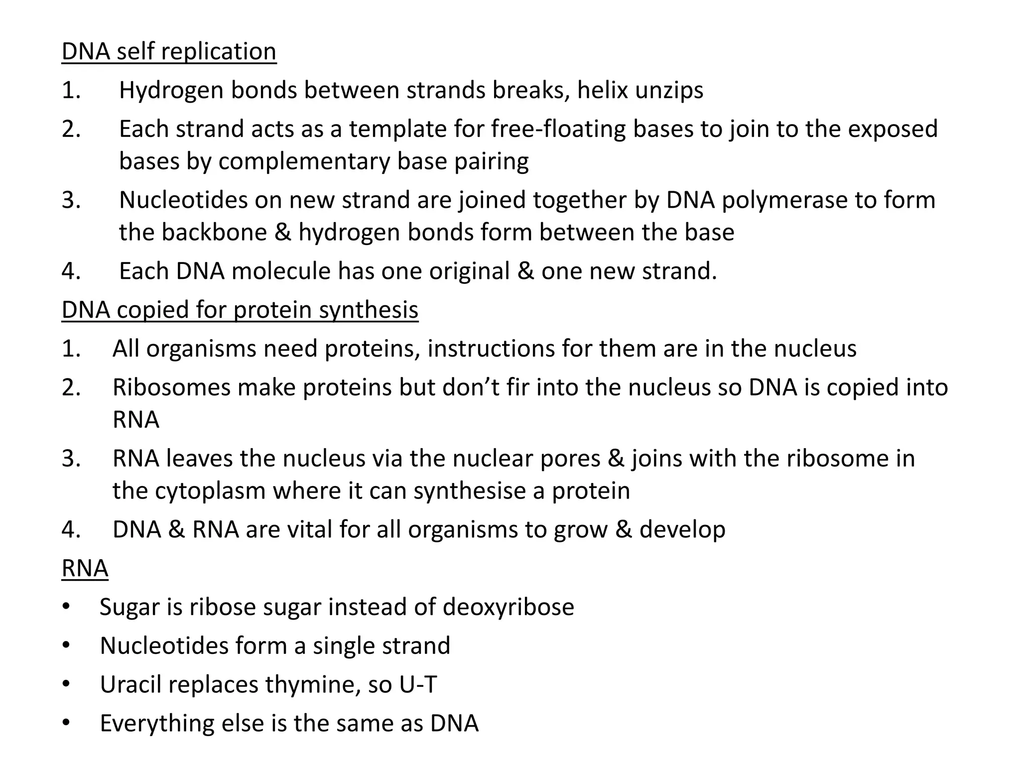 DNA self replication
1. Hydrogen bonds between strands breaks, helix unzips
2. Each strand acts as a template for free-floating bases to join to the exposed
bases by complementary base pairing
3. Nucleotides on new strand are joined together by DNA polymerase to form
the backbone & hydrogen bonds form between the base
4. Each DNA molecule has one original & one new strand.
DNA copied for protein synthesis
1. All organisms need proteins, instructions for them are in the nucleus
2. Ribosomes make proteins but don’t fir into the nucleus so DNA is copied into
RNA
3. RNA leaves the nucleus via the nuclear pores & joins with the ribosome in
the cytoplasm where it can synthesise a protein
4. DNA & RNA are vital for all organisms to grow & develop
RNA
• Sugar is ribose sugar instead of deoxyribose
• Nucleotides form a single strand
• Uracil replaces thymine, so U-T
• Everything else is the same as DNA
 