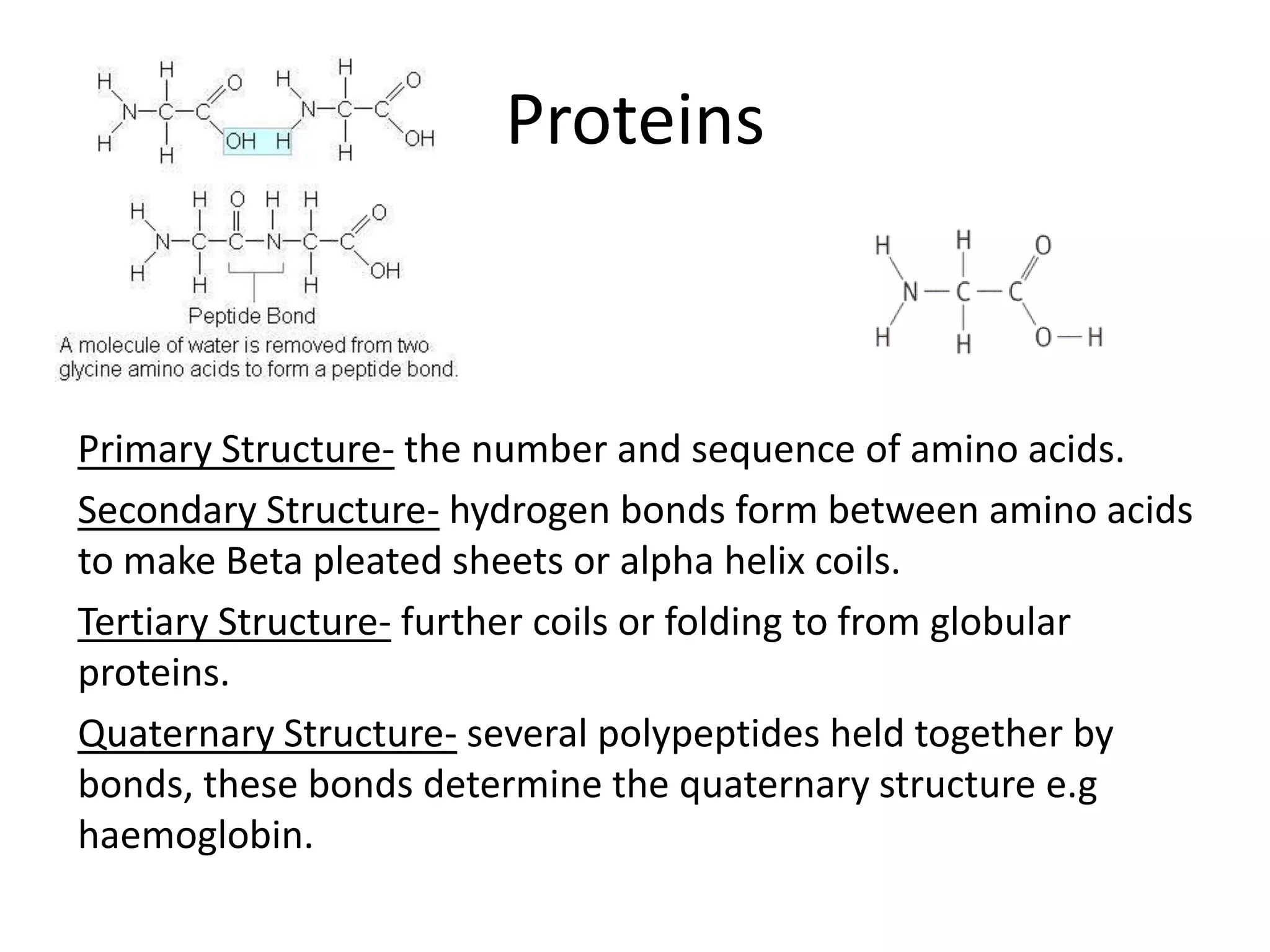 Proteins
Primary Structure- the number and sequence of amino acids.
Secondary Structure- hydrogen bonds form between amino acids
to make Beta pleated sheets or alpha helix coils.
Tertiary Structure- further coils or folding to from globular
proteins.
Quaternary Structure- several polypeptides held together by
bonds, these bonds determine the quaternary structure e.g
haemoglobin.
 