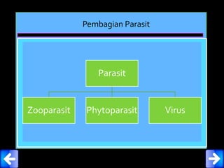 Pembagian Parasit
Parasit
Zooparasit Phytoparasit Virus
 