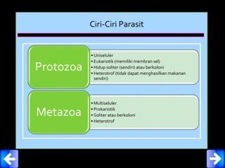 Ciri-Ciri Parasit
• Uniseluler
• Eukariotik (memiliki membran sel)
• Hidup soliter (sendiri) atau berkoloni
• Heterotrof (tidak dapat menghasilkan makanan
sendiri)
Protozoa
• Multiseluler
• Prokariotik
• Soliter atau berkoloni
• Heterotrof
Metazoa
 