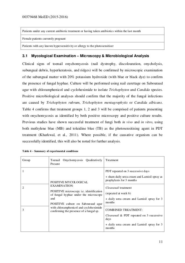 Dissertation bsc