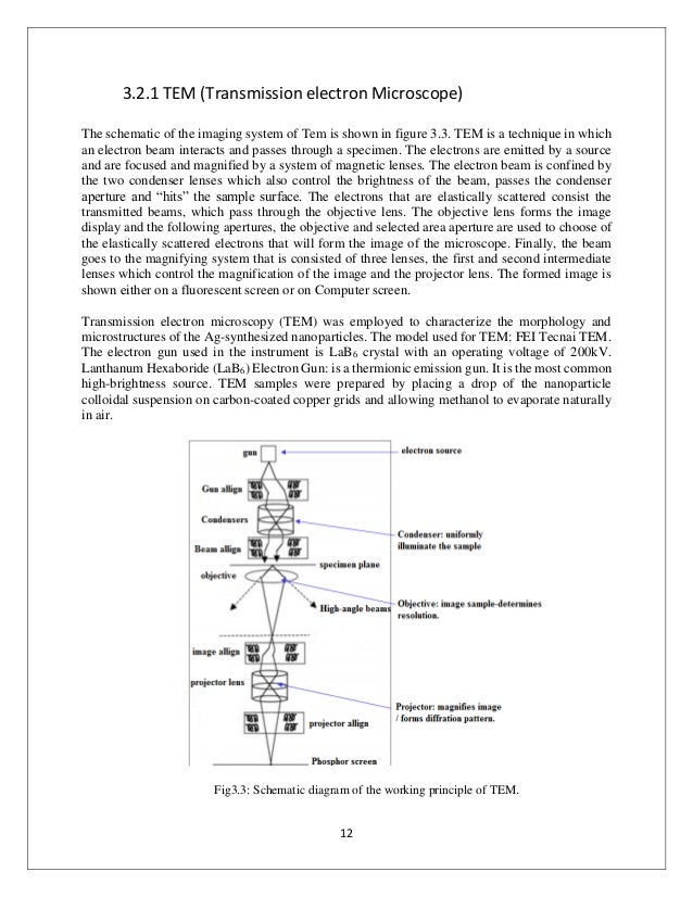 Thesis on scanning electron microscopy