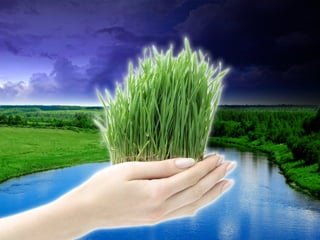 MS_Lent_Finding_Images_10