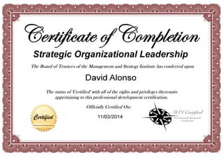 Strategic Organizational Leadership (SOL)