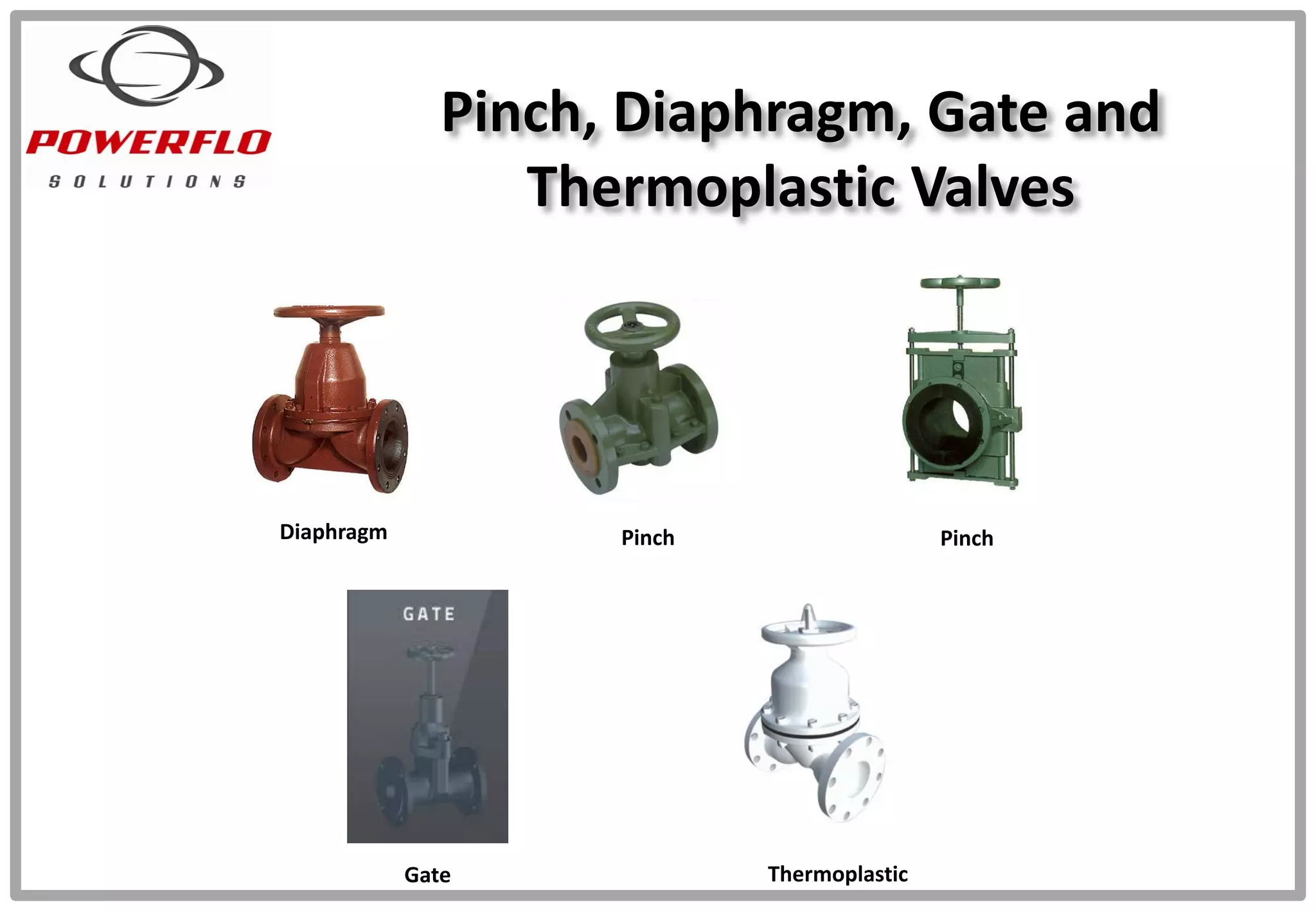 Pinch, Diaphragm, Gate and
Thermoplastic Valves
Diaphragm Pinch Pinch
Gate Thermoplastic
 