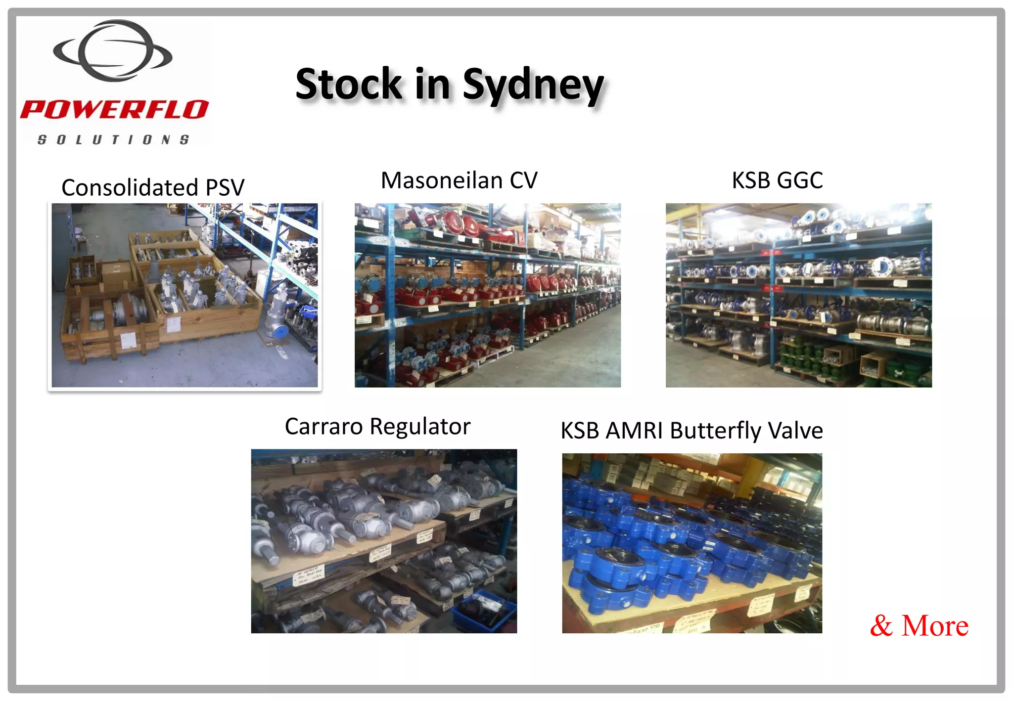Stock in Sydney
Consolidated PSV Masoneilan CV
Carraro Regulator KSB AMRI Butterfly Valve
KSB GGC
& More
 