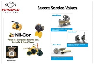 Severe Service Valves
PTFE Lined
Butterfly Valve
 