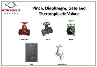 Pinch, Diaphragm, Gate and
Thermoplastic Valves
Diaphragm Pinch Pinch
Gate Thermoplastic
 