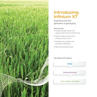 Introducing
Infinium XT
Experience the next
generation of genotyping
Now you can:
•	Increase sample volume and
capacity with the same infrastructure
•	Reduce total turnaround time
with less hands-on time
•	Integrate new workflow and
automation efficiencies
•	Minimize operational costs
Design
Scale and process
Track, analyze, and report
The Infinium XT solution:
 