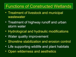 Functions of Constructed WetlandsFunctions of Constructed Wetlands
• Hydrological and hydraulic modifications
• Treatment ...
