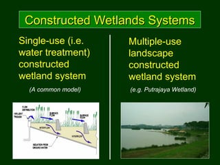 Single-use (i.e.
water treatment)
constructed
wetland system
Multiple-use
landscape
constructed
wetland system
Constructed...