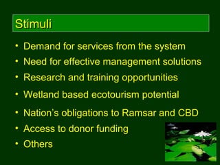 StimuliStimuli
• Demand for services from the system
• Wetland based ecotourism potential
• Nation’s obligations to Ramsar...