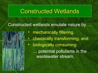 Constructed WetlandsConstructed Wetlands
Constructed wetlands emulate nature by …
• mechanically filtering,
• chemically t...
