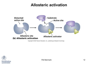 Allosteric Regulation, Enzyme Kinetics, and Hemoglobin Function in ...