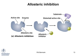 Allosteric Regulation, Enzyme Kinetics, and Hemoglobin Function in ...
