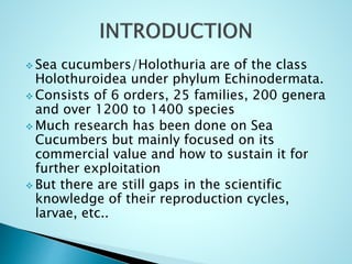  Sea cucumbers/Holothuria are of the class
Holothuroidea under phylum Echinodermata.
 Consists of 6 orders, 25 families, 200 genera
and over 1200 to 1400 species
 Much research has been done on Sea
Cucumbers but mainly focused on its
commercial value and how to sustain it for
further exploitation
 But there are still gaps in the scientific
knowledge of their reproduction cycles,
larvae, etc..
 
