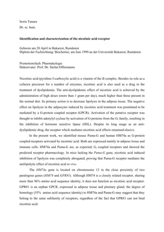 Sorin Tunaru
Dr. sc. hum.
Identification and characterization of the nicotinic acid receptor
Geboren am 20 April in Bukarest, Rumänien
Diplom der Fachrichtung: Biochemie, am Juni 1999 an der Universität Bukarest, Rumänien
Promotionsfach: Pharmakologie
Doktorvater: Prof. Dr. Stefan Offermanns
Nicotinic acid (pyridine-3-carboxylic acid) is a vitamin of the B complex. Besides its role as a
cofactor precursor for a number of enzymes, nicotinic acid is also used as a drug in the
treatment of dyslipidemia. The anti-dyslipidemic effect of nicotinic acid is achieved by the
administration of high doses (more than 1 gram per day), much higher than those present in
the normal diet. Its primary action is to decrease lipolysis in the adipose tissue. The negative
effect on lipolysis in the adipocytes induced by nicotinic acid treatment was postulated to be
mediated by a G-protein coupled receptor (GPCR). Activation of the putative receptor was
thought to inhibit adenylyl cyclase by activation of G-proteins from the Gi family, resulting in
the inhibition of hormone sensitive lipase (HSL). Despite its long usage as an anti-
dyslipidemic drug, the receptor which mediates nicotinic acid effects remained elusive.
In the present work, we identified mouse Puma-G and human HM74a as G-protein
coupled receptors activated by nicotinic acid. Both are expressed mainly in adipose tissue and
immune cells. HM74a and Puma-G are, as expected, Gi coupled receptors and showed the
predicted receptor pharmacology. In mice lacking the Puma-G gene, nicotinic acid induced
inhibition of lipolysis was completely abrogated, proving that Puma-G receptor mediates the
antilipolytic effect of nicotinic acid in vivo.
The HM74a gene is located on chromosome 12 in the close proximity of two
paralogous genes (HM74 and GPR81). Although HM74 is a closely related receptor, sharing
more than 96% amino acid sequence identity, it does not function as nicotinic acid receptor.
GPR81 is an orphan GPCR, expressed in adipose tissue and pituitary gland; the degree of
homology (55% amino acid sequence identity) to HM74a and Puma-G may suggest that they
belong to the same subfamily of receptors, regardless of the fact that GPR81 can not bind
nicotinic acid.
 