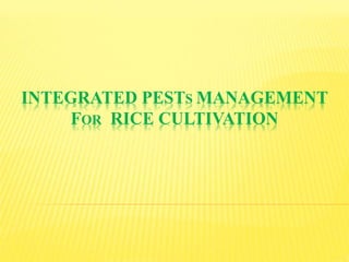 INTEGRATED PESTS MANAGEMENT
FOR RICE CULTIVATION
 