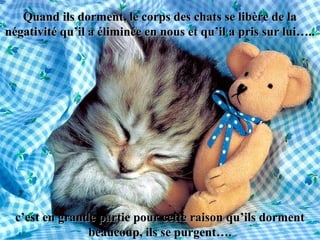 Quand ils dorment, le corps des chats se libère de laQuand ils dorment, le corps des chats se libère de la
négativité qu’il a éliminée en nous et qu’il a pris sur lui…..négativité qu’il a éliminée en nous et qu’il a pris sur lui…..
c’est en grande partie pour cette raison qu’ils dormentc’est en grande partie pour cette raison qu’ils dorment
beaucoup, ils se purgent….beaucoup, ils se purgent….
 