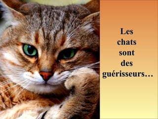 LesLes
chatschats
sontsont
desdes
guérisseurs…guérisseurs…
 
