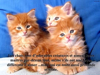 Les chats sont d’adorables créatures et aiment leursLes chats sont d’adorables créatures et aiment leurs
maîtres par-dessus tout, même s’ils ont une façonmaîtres par-dessus tout, même s’ils ont une façon
différente d'aimer ...mais qui est toute aussi profondedifférente d'aimer ...mais qui est toute aussi profonde
et vraie.et vraie.
 