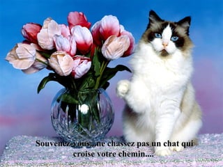 Souvenez-vous...ne chassez pas un chat quiSouvenez-vous...ne chassez pas un chat qui
croise votre chemin....croise votre chemin....
 