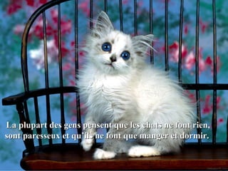 La plupart des gens pensent que les chats ne font rien,La plupart des gens pensent que les chats ne font rien,
sont paresseux et qu’ils ne font que manger et dormir.sont paresseux et qu’ils ne font que manger et dormir.
 