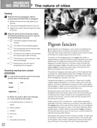 The nature of cities
Reading
D Read the first two paragraphs. What is
unusual about the River Ebro in Zaragoza?
A Nobody knows how the huge catfish got in
the river.
B There are bird-eating fish that live in the river.
c Pigeons lie in wait to attack the giant fish living
in the river.
fl Read the whole article and decide whether
the following sentences are true (T), false (F)
or the article doesn't say (OS).
2
3
4
5
[I] The threat to pigeons started quite
recently.
D The catfish only ever attacks pigeons.
D The townspeople had first told the writer
about the strange attacks.
D The best time for people to go and watch
the unusual sight is later in the day.
D The best time to see the attacks is while
there is still daylight.
6 D People living in the town tend to
sympathise with the pigeons.
Guessing meaning from context
E a Look at the six words in bold in the article
and put them in these groups.
verbs 1 loiter
2
nouns 3
4
adjectives 5
6
b Match the words in 3a to the meanings
a-f. Look carefully at the context.
a do something slowly, or wait for no
reason
b attack suddenly
c careless
d enormous
e bird
t wait quietly and secretly
Pigeon fanciers
In the Spanish city of Zaragoza, a new menace is threatening the
city's pigeons and it comes from the depths of the River Ebro.
Every day, birds living in the historic buildings there fly down to drink
at the base of a nearby bridge. Some never return.
The reason for their disappearance is the giant wels catfish, a
species native to central and eastern Europe that grows up to three
metres long. The catfish were introduced to the Ebro by German
fishermen in the late 1970s but in the past couple of months the
catfish have begun to lurk in the waters around the bridge. When
pigeons loiter too long at the water's edge, a fish leaps up from
below and swallows one of them whole.
The citizens of Zaragoza, fascinated, gather at the bridge each day
to witness the unlikely battle between fish and fowl. Having heard
about this unusual event in the Spanish media and thinking it was
worth investigating, I decided to join them.
I arrived at the bridge on a chilly afternoon. There were no catfish
in sight, however. No pigeons, no crowds, nothing. But as the day
went on, more and more passers-by paused to take a quick glance
into the depths. I talked to one, named Oscar, who helpfully showed
me the stretch of water where the catfish liked to be.
Not everyone was so well informed. One self-appointed expert
confidently told me that catfish weren't fish at all, because they live
on both land and in water. Another know-it-all explained that they
only fed in the morning. (I found out later that they actually hunt in
the evening and at night.)
Finally, at about 5.30 in the afternoon, a dark shape measuring a
good deal more than a metre took up its place in the water close to
the unwary birds, which were drinking nearby. By now, an audience
had gathered in the hope of a show - and it didn't take long. With a
sudden splash, a catfish made an unsuccessful lunge at a pigeon.
The next bird was not so lucky. For two hours, a crowd of about 50
watched three big catfish feeding.
Most people were taking the side of the fishy invaders. A cheer went
up whenever a catfish made a successful attack. One woman was
on the pigeons' side, however, greeting each narrow escape with a
shout of triumph. "Poor things," she said. "Nobody likes them."
 