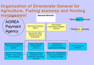 Service for General
affairs
Information
technology Support
Service
Service for Plans
Monitoring and
Evaluation
Service for Innovation
of the agricultural
system
Crops production
development
Service
Service for Products
quality, food chains
and marketing
Fishing economy,
Zootechnic and
livestock production
Service
Service for
Investments in
agricultural holdings
Plant protection
Service
Service for managing of
rural countryside and
hunting activities
General-Director
“Orizontal” services
“Specialized” services
Organization of Directorate General for
Agriculture, Fishing economy and Hunting
management
AGREA
Payment
Agency
 