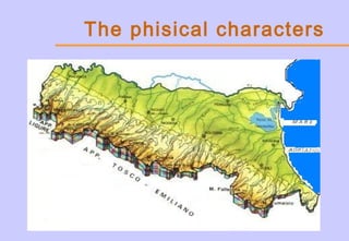 The phisical characters
 