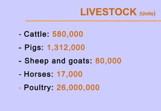 - Cattle: 580,000
- Pigs: 1,312,000
- Sheep and goats: 80,000
- Horses: 17,000
- Poultry: 26,000,000
LIVESTOCK (Units)
 