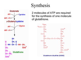 glutathione vitamin d The Impact of Vitamin D and L-Cysteine Co-Supplementation on Upregulating  Glutathione and Vitamin D-Metabolizing Genes and in the Treatment of  Circulating 25-Hydroxy Vitamin D Deficiency